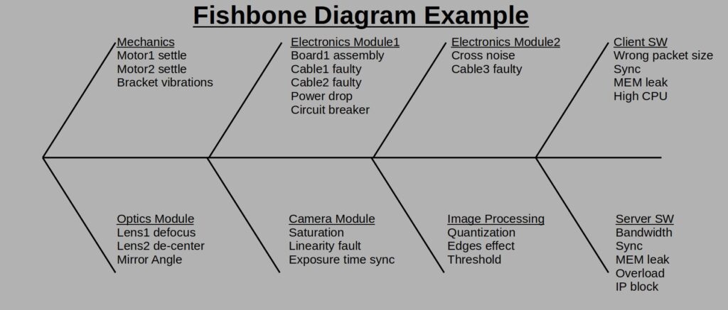 Fishbone Diagram